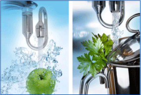 Revital Acqua