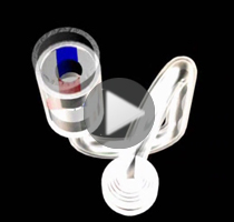 Video Revital Acqua